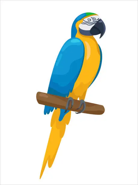 Vector illustration of Bright macaw. Cartoon funny ara parrot sitting on a branch. Flat colorful exotic bird. Vector illustration on white background. Good for T-shirts, posters, book covers, banners