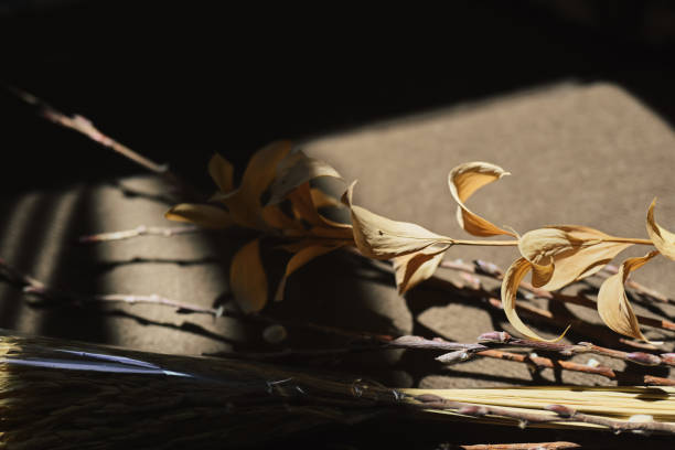Dried flowers and leaves on table with shadows and natural sunlight.