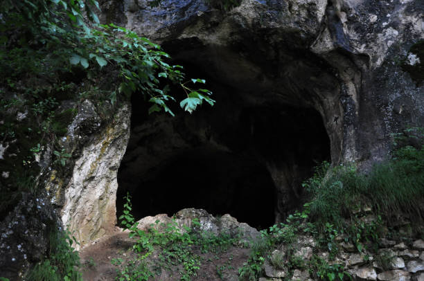 istock Hidden remote cave entrance in the forest 1718269652