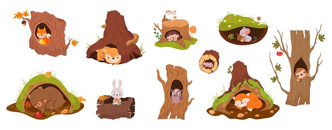 Forest animals inside holes and burrows. Tree burrow and hole in earth. Bear hibernation, mouse, red fox and owl. Deer peeking, nowaday vector set of burrow hole illustration