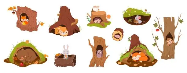 Vector illustration of Forest animals inside holes and burrows. Tree burrow and hole in earth. Bear hibernation, mouse, red fox and owl. Deer peeking, nowaday vector set