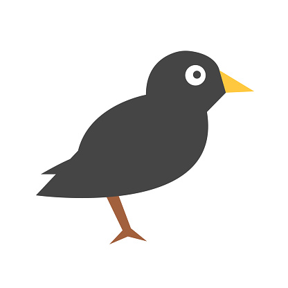 Flat design crow icon. Editable vector.