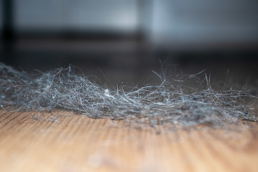 A clutter of dusty clumps on a grimy floor symbolizes the need for a professional cleaning service to restore cleanliness and order.