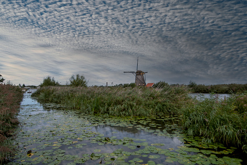 Landscape Holland, Netherlans