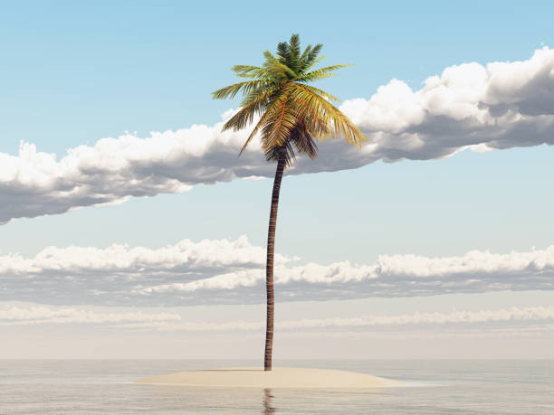 istock Island with palm tree in the open sea 1718322301