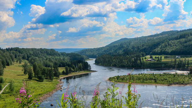 blick flussabwärts auf den fluss nämforsen in schweden - norrland stock-fotos und bilder