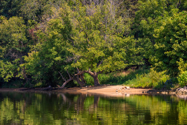 istock Kayaking Holston River at Warrior State Park, Tennessee, USA 1718342821