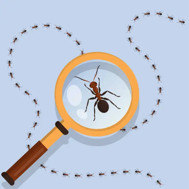 Vector illustration of Ant animal. Magnifier zoom lens eyes. Macro computer look. Marching termites. Magnifying glass for entomology research. Business solution search. Vector current illustration concept