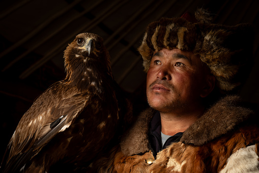 Portrait of a Kazakh nomadic eagle hunter, with his Golden Eagle looking at the camera. He is sitting in the doorway of his ger in the Kazakh region of the Altai Mountains of Mongolia. Natural light is reflecting on his face and the bird of prey on his arm. The hunter is wearing traditional animal fur clothing.