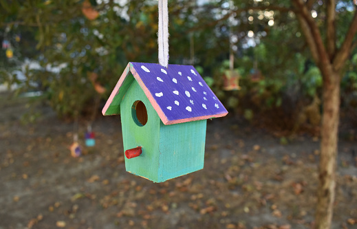 A quaint, vibrant wooden birdhouse suspended from a garden tree, providing a charming refuge for feathered friends.