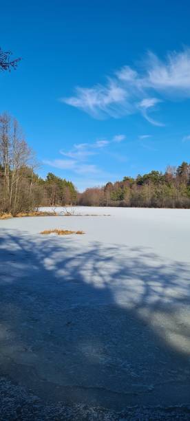 istock frozen lake in the forest 1718445023