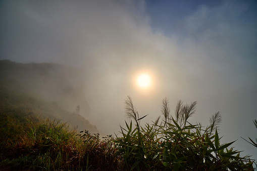 Fog in early morning over the mountain at Phu Chi Fah in Thailand