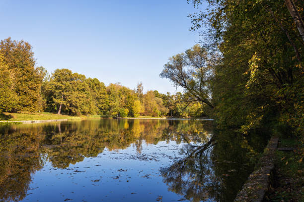 árboles de otoño reflejados en el agua - forest pond landscaped water fotografías e imágenes de stock