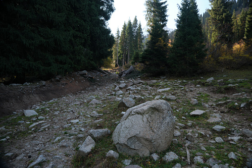 Strange rocky way through slash in mountain forest