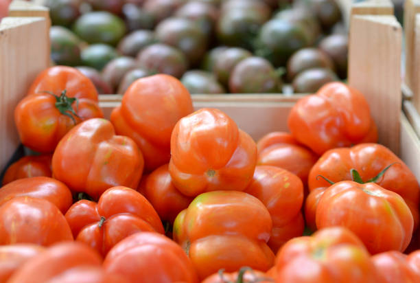 Shopping at the weekly market: Close-up of different tomatoes at a stall, selective focus, plenty of copyspace