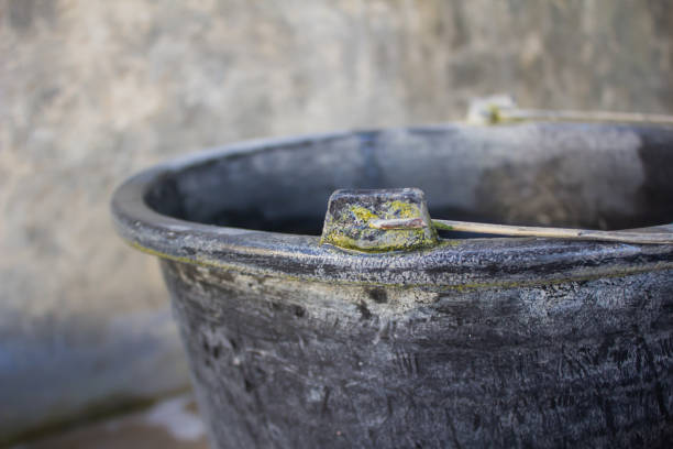 The durable black bucket has moss on the edge of the handle