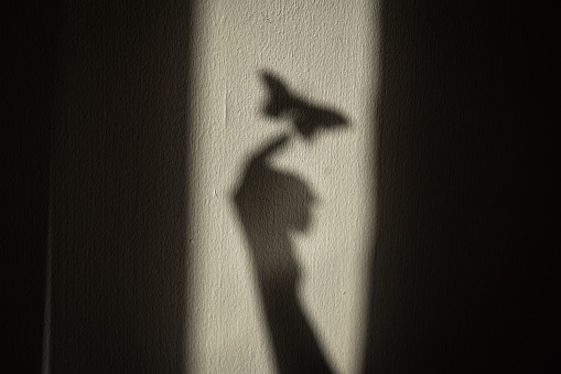 A shadow of a hand trying to reach a butterfly on a white wall