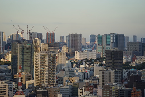 Skyscrapers in Tokyo  Shinagawa
