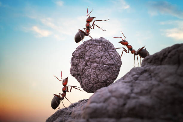 istock Ants are pushing heavy boulder up on hill. Teamwork concept. 3D rendered illustration. 1718507376