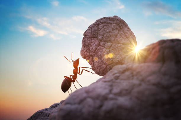 arbeiterameise schiebt schweren felsbrocken auf den hügel. 3d-gerenderte illustration. - sisyphus stock-fotos und bilder