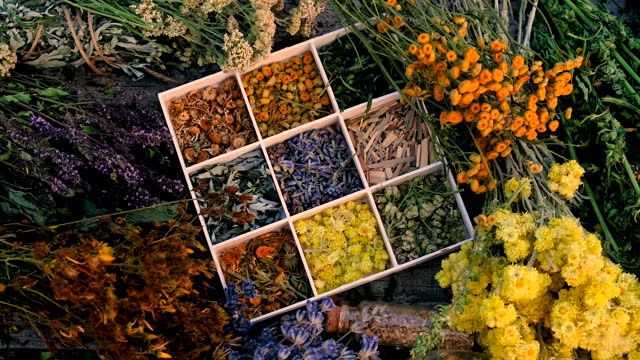 Dried flowers and herbs tea and alternative medicine. Selective focus. Nature.