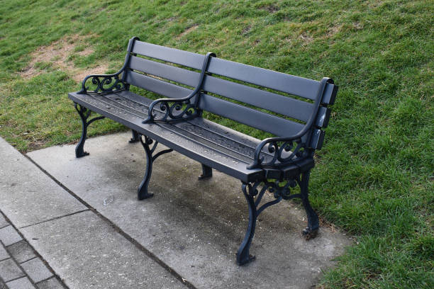 istock An empty bench in the park with green bushes and trees 1718542251