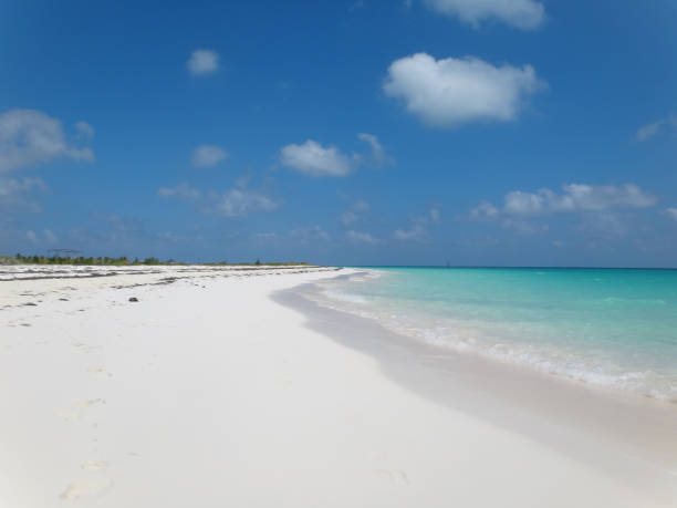 istock White sand beach with clear blue water 1718542794