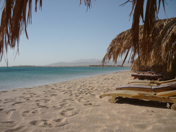 istock An empty sandy beach with palm leaf sunshade and wooden beds, blue sea view without waves 1718547920