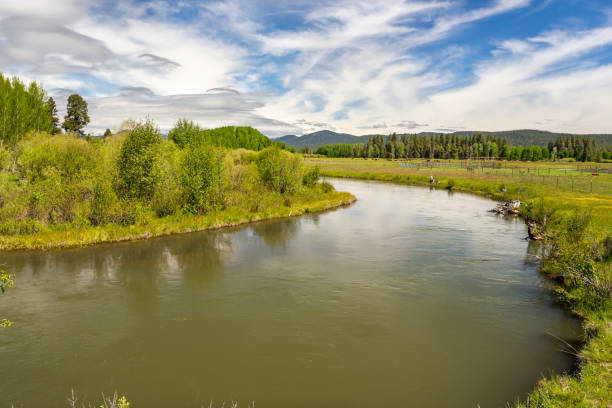 Wood River in countryside in the Central Oregon