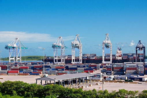 Giant Cranes in the Port of Miami