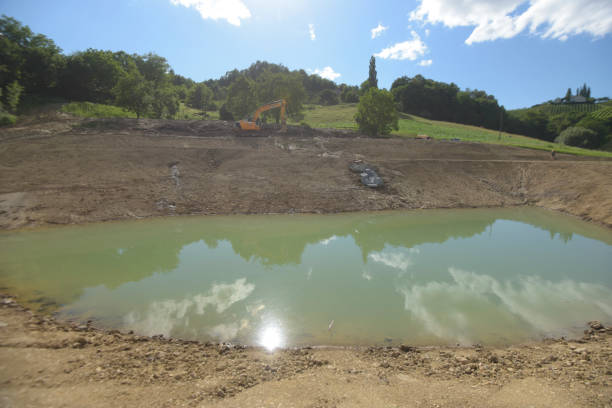 istock garden pond and natural landscape 1718597610
