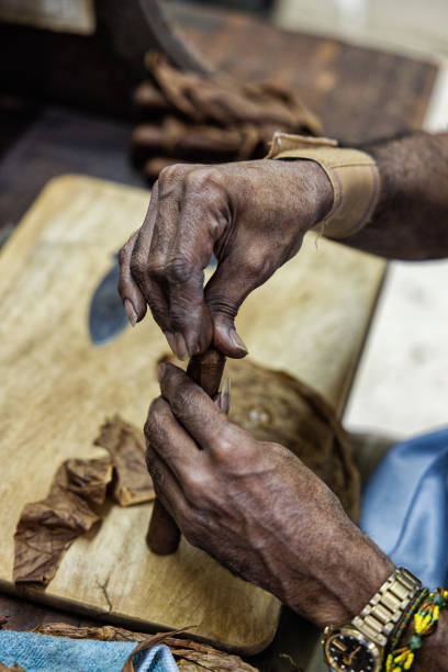 istock Cigar factory. Cuban cigar's manufacture 1718597630