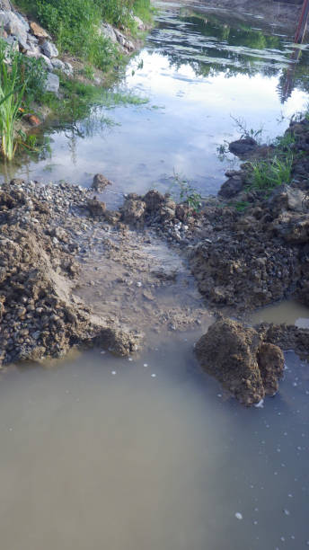 istock garden pond and natural landscape 1718603883