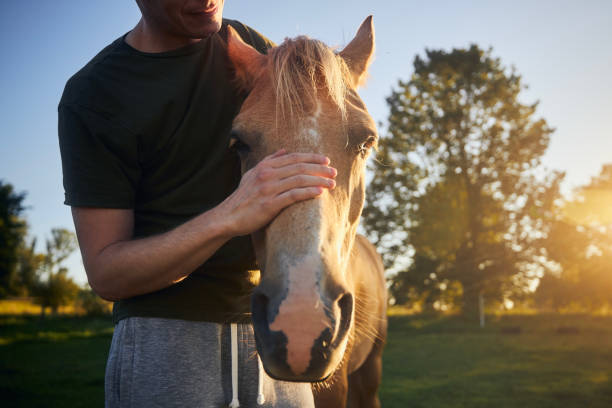 istock Man stroking head of therapy horse 1718620966