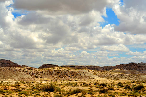 istock Rugged and Desolate Landscape Petrified Forest Arizona 1718634026