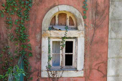 Old house window overgrown with green ivy