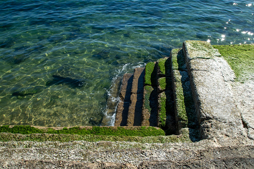 Stone steps covered in vibrant green algae gracefully lead down into the pristine, clear waters of the ocean. The sea's gentle waves create a mesmerizing texture, making for an exceptional and unique water background.