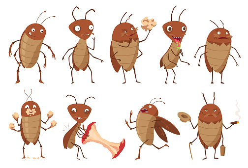 Dirt cockroach. Funny brown beetles collection. Different adorable parasites, wildlife stickers pack. Cartoon, insect pests vector illustration set.