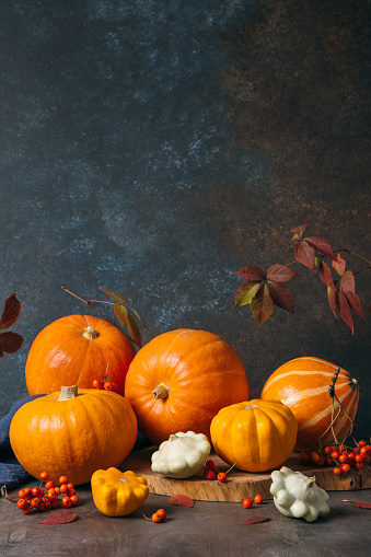 Autumn composition for Thanksgiving Day, still life background with empty copy space. Pumpkin harvest, vegetables, patissons, autumn leaves, red berries on dark wooden table. Fall design