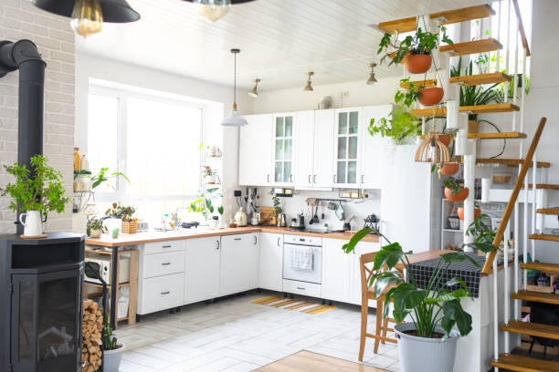 el plan general de una cocina rústica moderna de color blanco claro con una escalera metálica modular decorada con plantas en macetas. interior de una casa con plantas caseras - modular home interior residential structure housing development fotografías e imágenes de stock