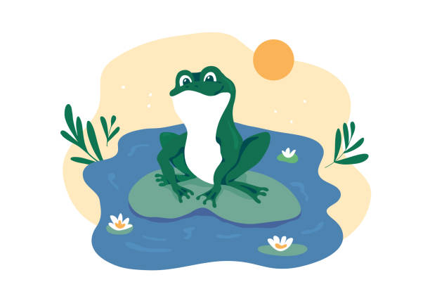 ilustrações de stock, clip art, desenhos animados e ícones de vector illustration of cute frog sitting on water lily leaf in center of puddle - frog water lily pond sunlight