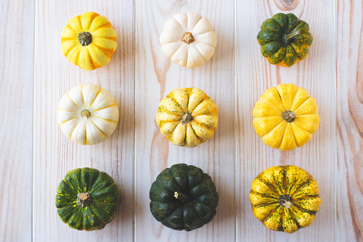 Cute colorful mini pumpkins on white wooden background, view from above, flat lay style. Autumnal composition for Halloween or Thanksgiving celebration.