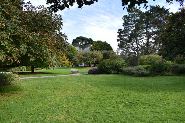 istock An empty bench in a city park with green bushes and trees 1718708060