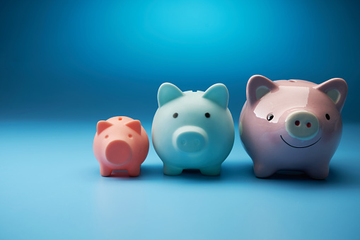 piggy bank in a row from small to big -growth