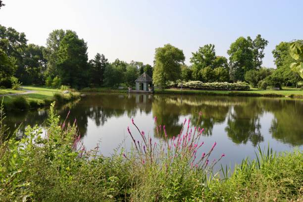 istock Peaceful Lake in the Country 1718729754