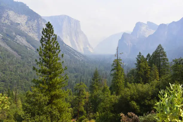 Photo of Yosemite national park, California mountains background, view of natural landscape, USA national parks wildlife