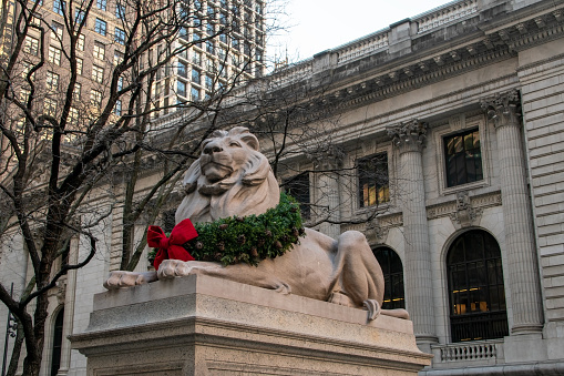 A majestic lion statue guards the entrance to the New York City Public Library on 5th Avenue in Manhattan, adding a touch of grandeur to this iconic cultural institution in the heart of NYC, USA.