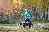 Cute Sport Woman Is Walking With Group Of Dogs And Taking A Selfie, Autumn Morning Walk In Public Park