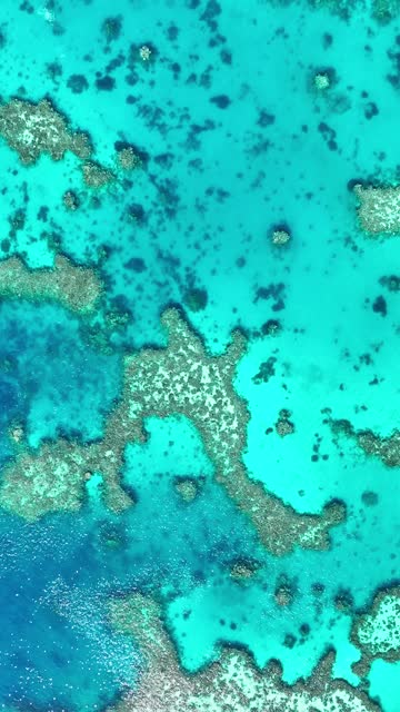 Aerial drone view coral reef under turquoise sea