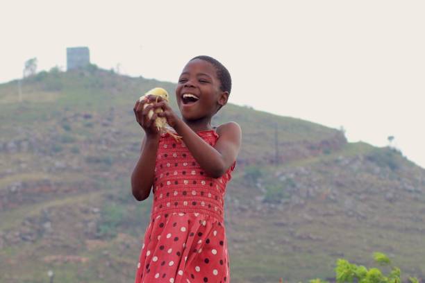 istock A young black girl holding a chick 1718792906